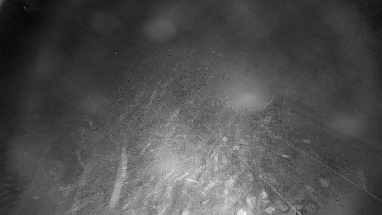 Weather Camera Image Väg 4 Viitasaari, Löytänä, Viitasaari, Keski-Suomi