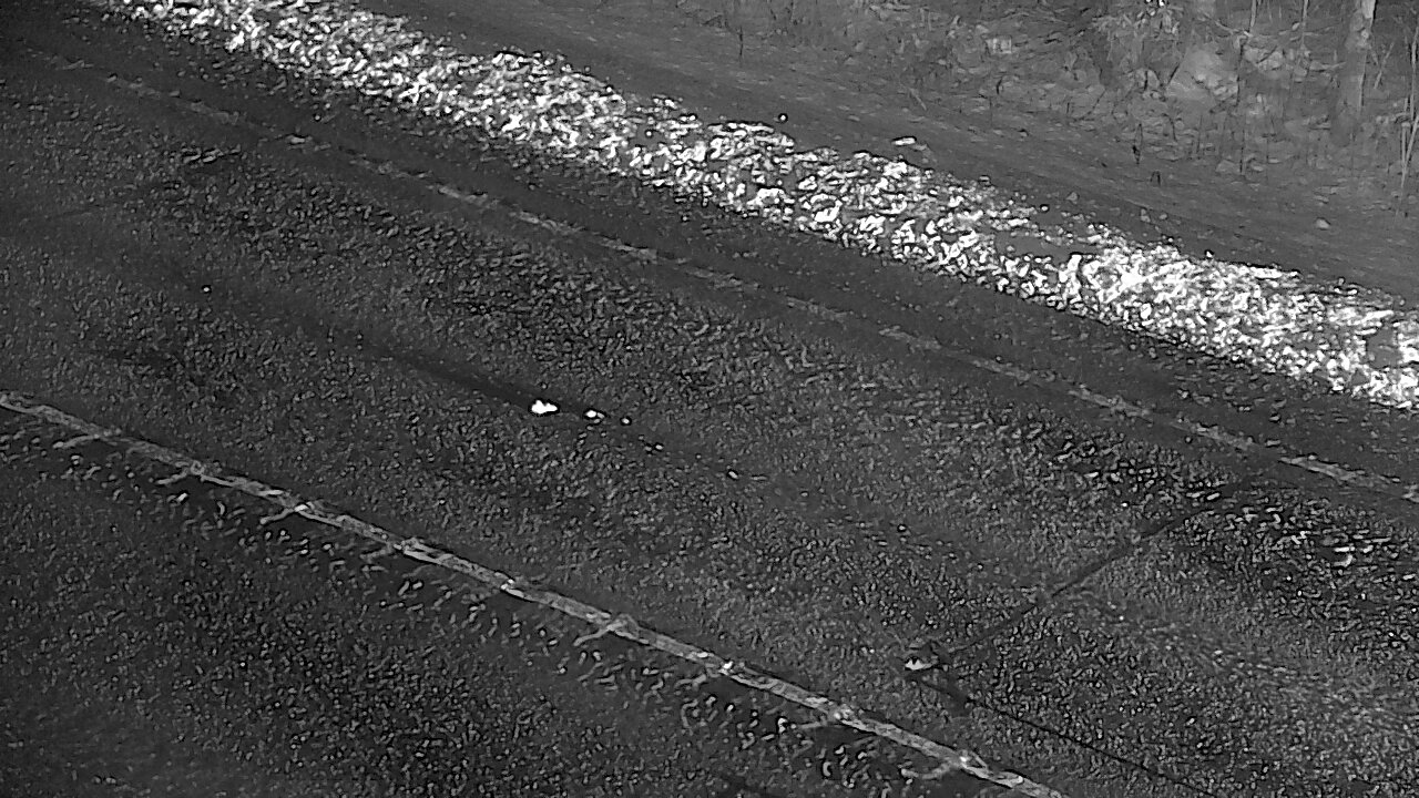 Weather Camera Image Road 4 Viitasaari, Löytänä, Viitasaari, Keski-Suomi