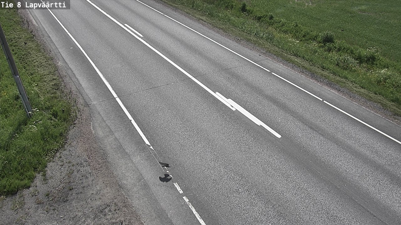 Weather Camera Image Road 8 Kristiinankaupunki, Lapväärtti, Kristiinankaupunki, Pohjanmaa