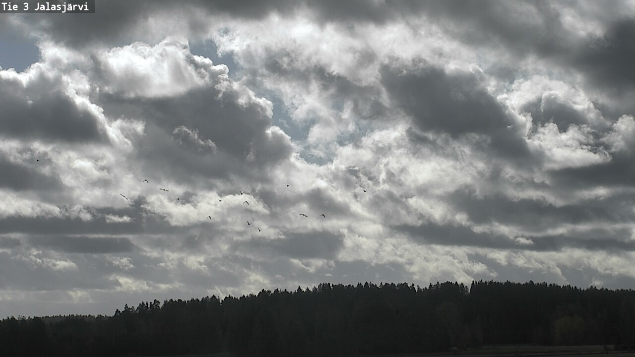 Weather Camera Image Road 3 Kurikka, Jalasjärvi, Kurikka, Etelä-Pohjanmaa