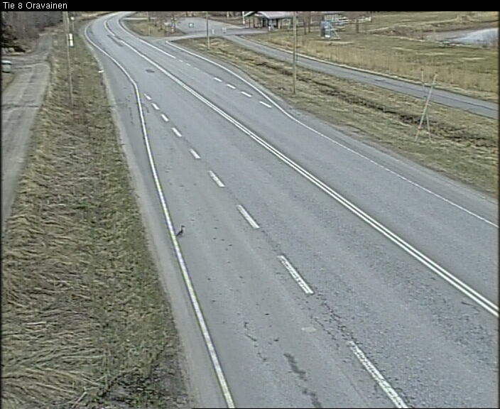 Weather Camera Image Road 8 Vöyri, Oravainen, Vöyri, Pohjanmaa