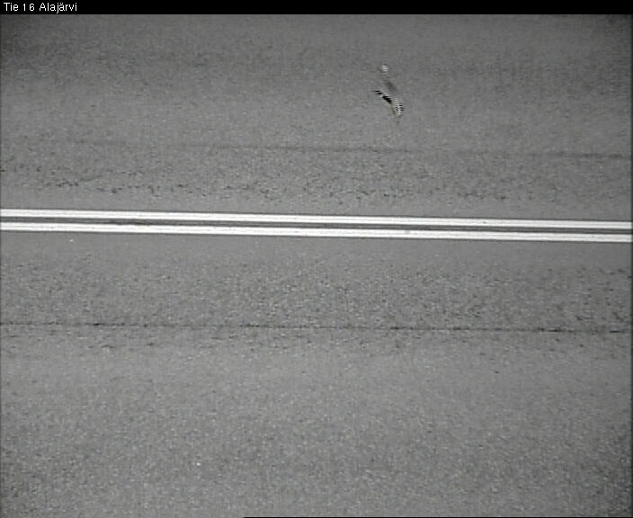 Weather Camera Image Väg 16 Alajärvi, Alajärvi, Etelä-Pohjanmaa