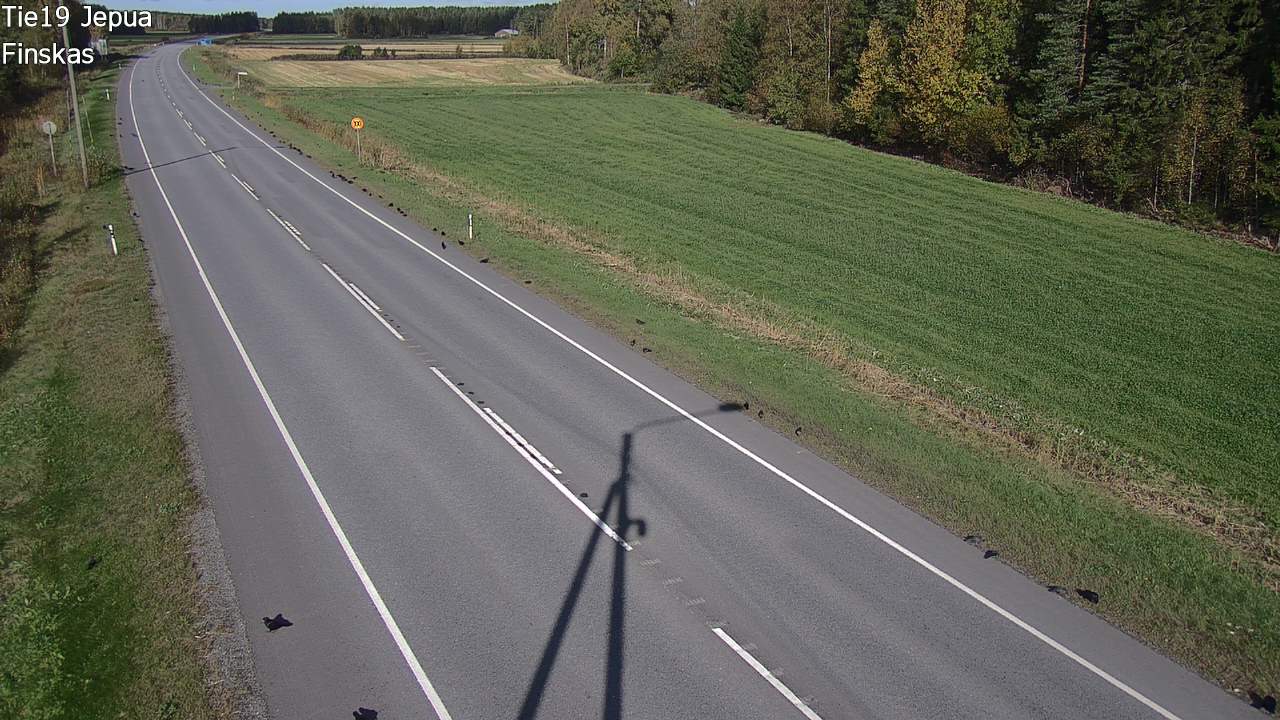 Weather Camera Image Road 19 Jepua, Uusikaarlepyy, Pohjanmaa