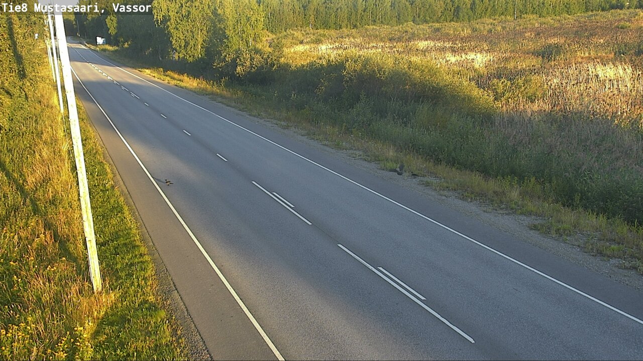 Kelikamerat Kuva Tie 8 Mustasaari, Vassor, Mustasaari, Pohjanmaa