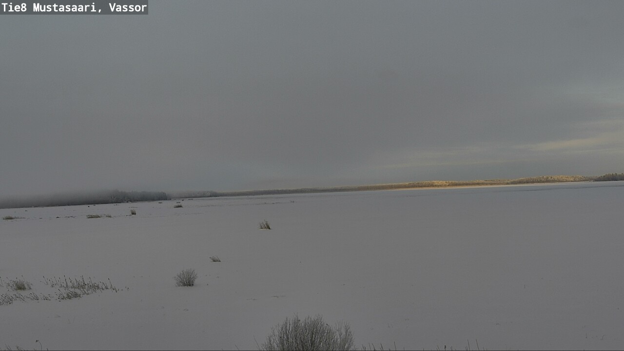 Kelikamerat Kuva Tie 8 Mustasaari, Vassor, Mustasaari, Pohjanmaa