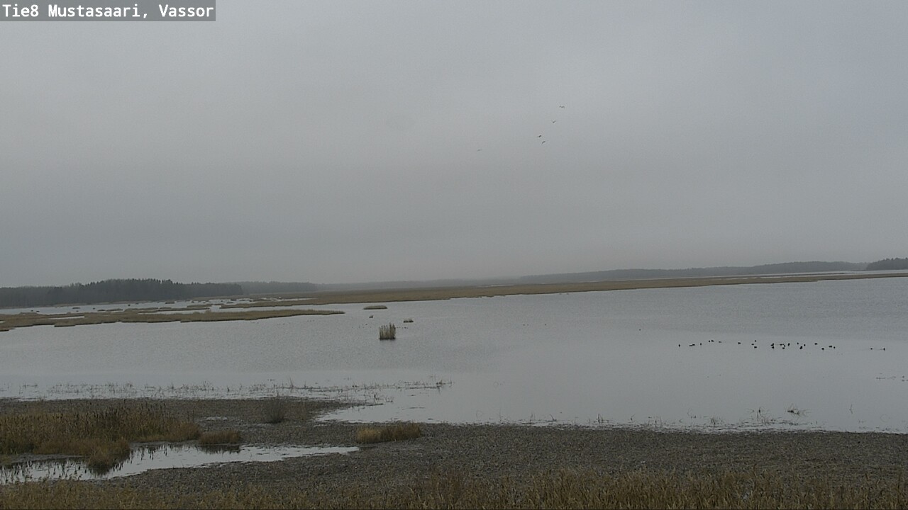 Kelikamerat Kuva Tie 8 Mustasaari, Vassor, Mustasaari, Pohjanmaa