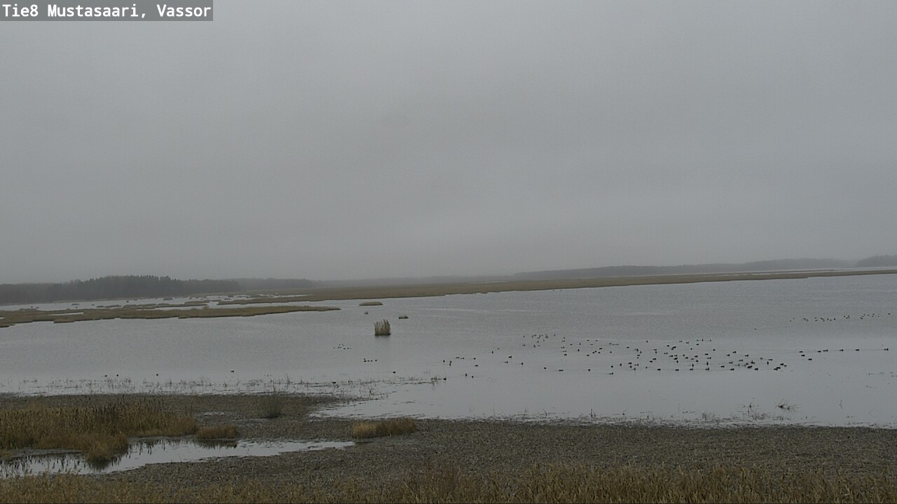 Kelikamerat Kuva Tie 8 Mustasaari, Vassor, Mustasaari, Pohjanmaa