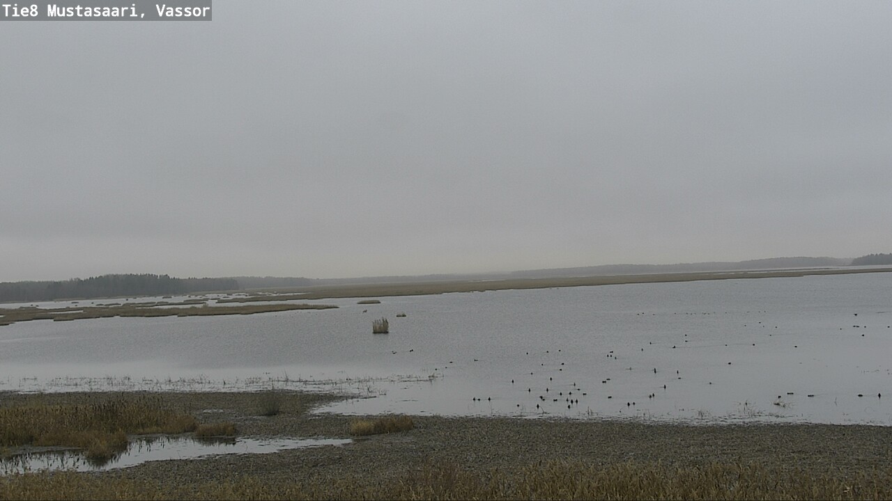 Kelikamerat Kuva Tie 8 Mustasaari, Vassor, Mustasaari, Pohjanmaa