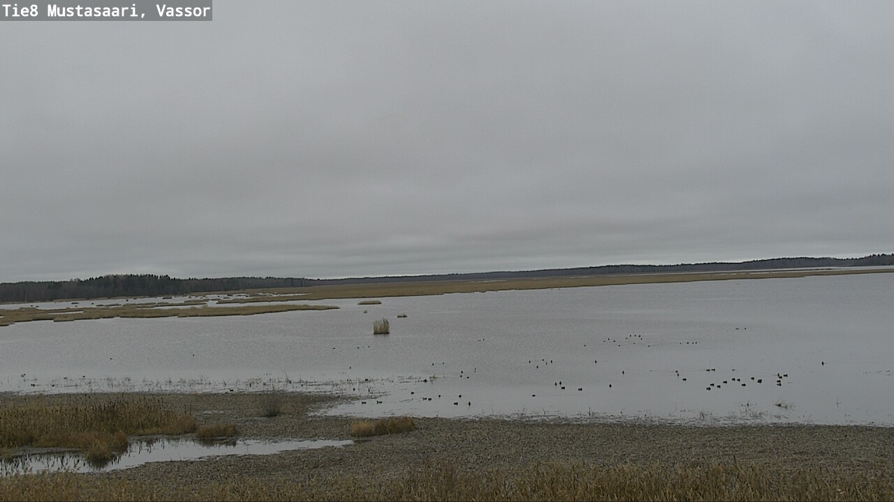 Kelikamerat Kuva Tie 8 Mustasaari, Vassor, Mustasaari, Pohjanmaa
