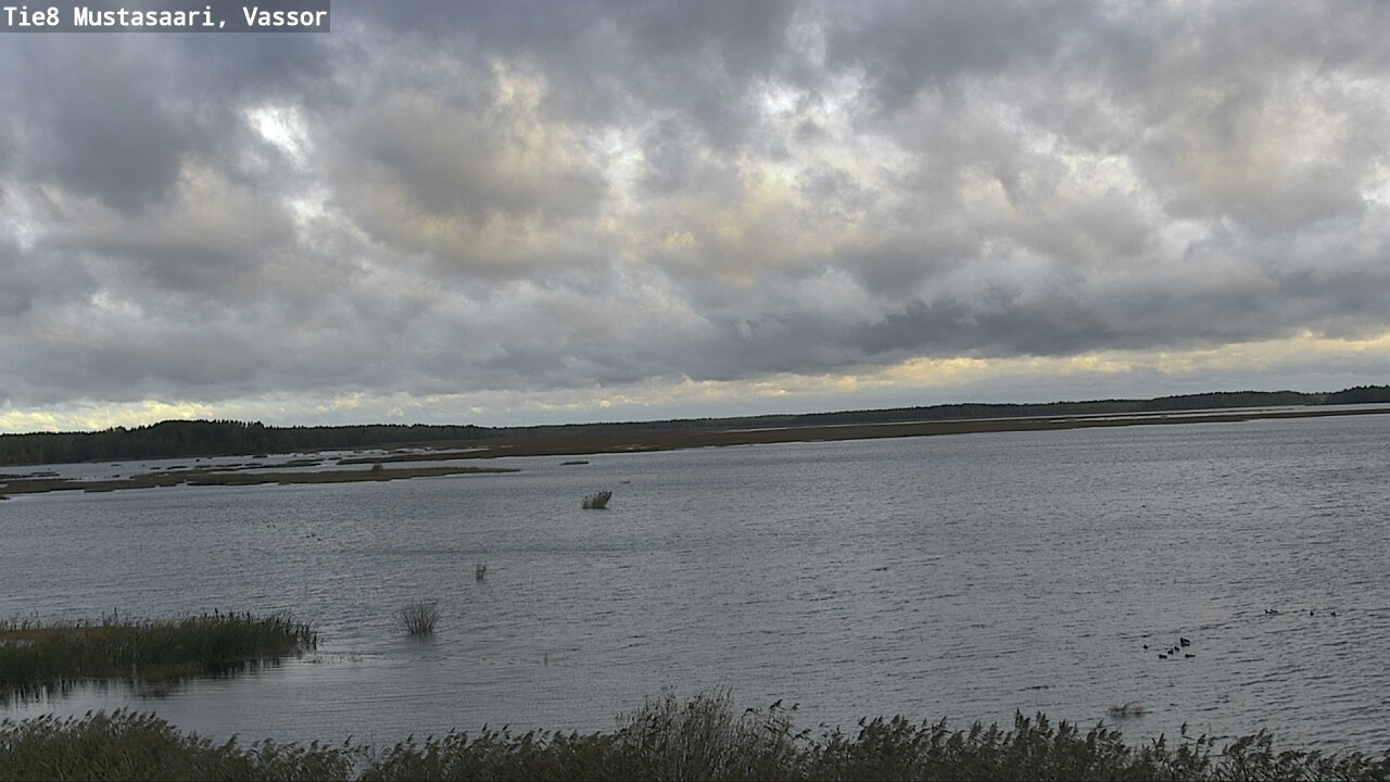 Weather Camera Image Väg 8 Korsholm, Vassor, Mustasaari, Pohjanmaa