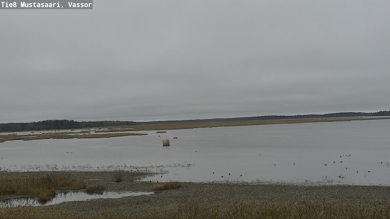 Kelikamerat Kuva Tie 8 Mustasaari, Vassor, Mustasaari, Pohjanmaa