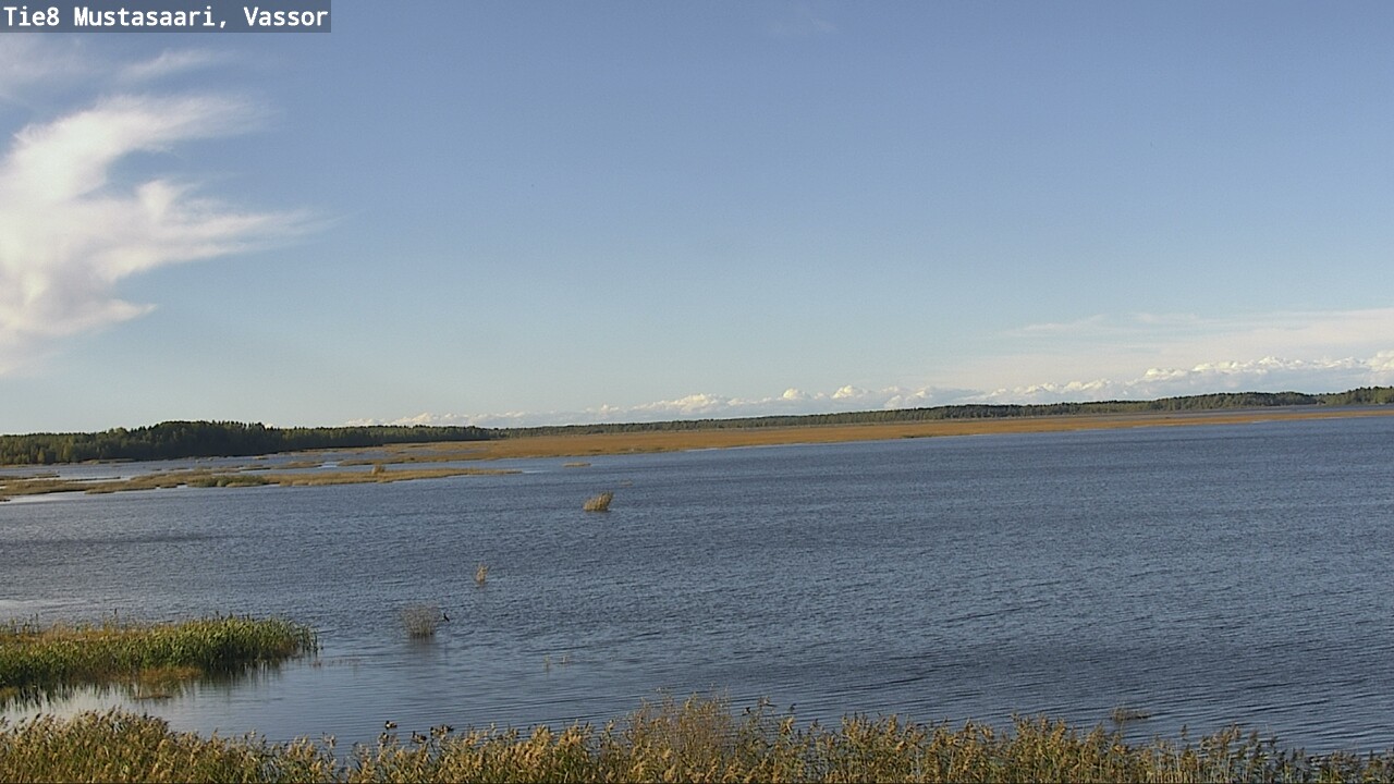 Weather Camera Image Road 8 Mustasaari, Vassor, Mustasaari, Pohjanmaa