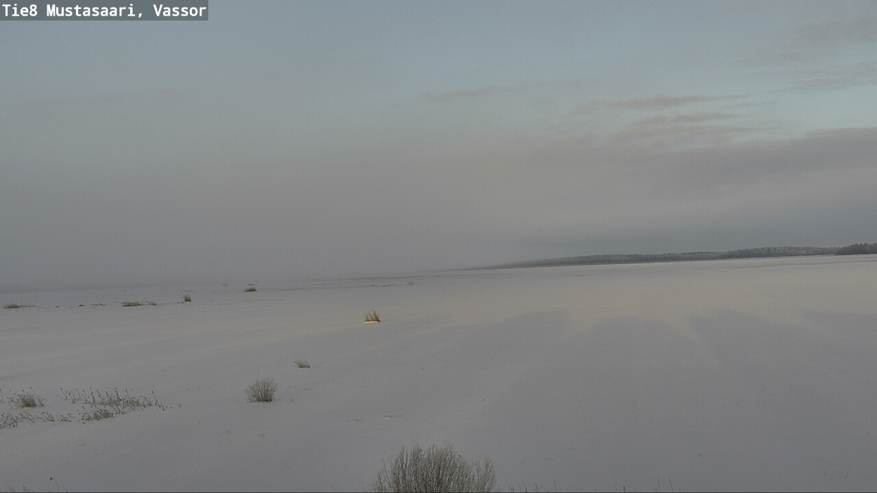 Kelikamerat Kuva Tie 8 Mustasaari, Vassor, Mustasaari, Pohjanmaa