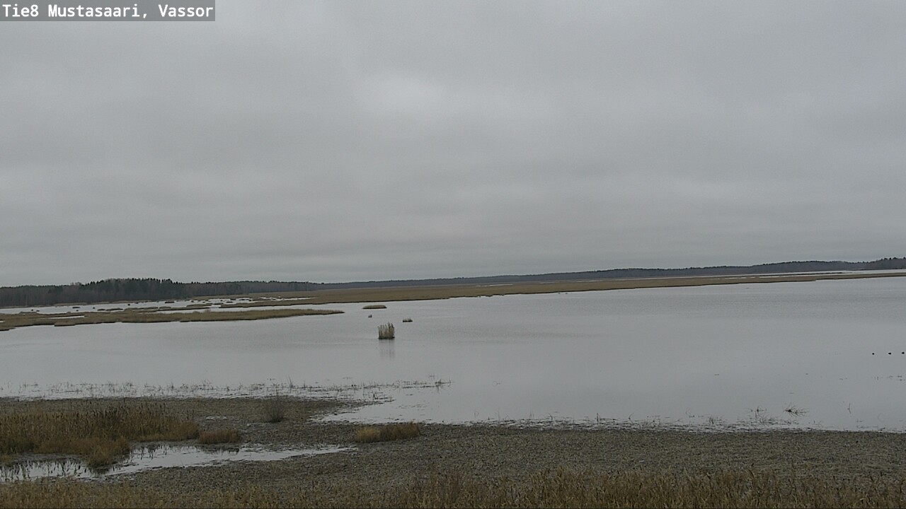 Kelikamerat Kuva Tie 8 Mustasaari, Vassor, Mustasaari, Pohjanmaa