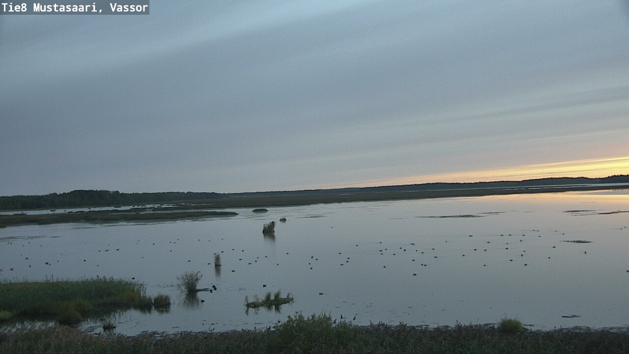 Weather Camera Image Road 8 Mustasaari, Vassor, Mustasaari, Pohjanmaa