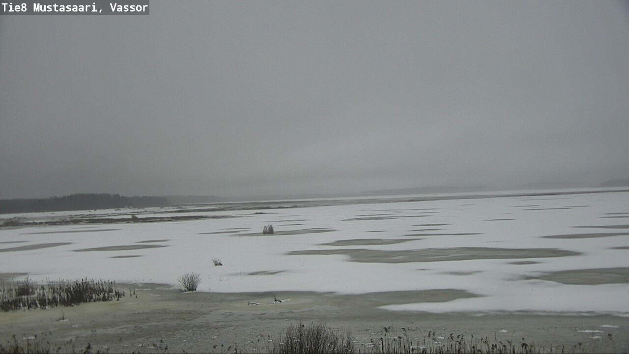 Weather Camera Image Road 8 Mustasaari, Vassor, Mustasaari, Pohjanmaa