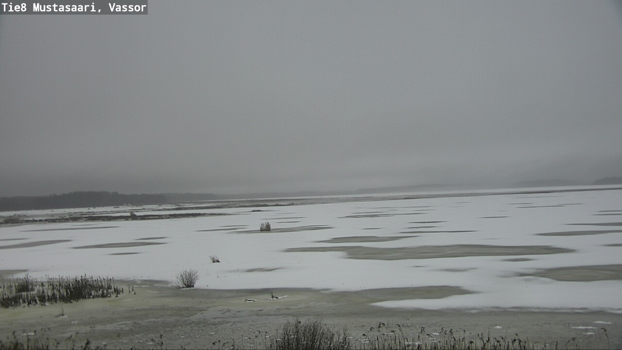 Weather Camera Image Road 8 Mustasaari, Vassor, Mustasaari, Pohjanmaa