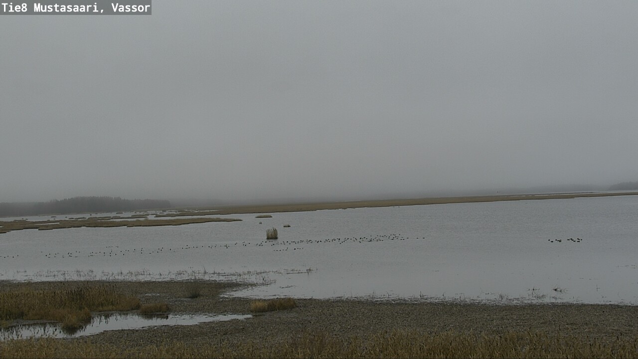 Kelikamerat Kuva Tie 8 Mustasaari, Vassor, Mustasaari, Pohjanmaa