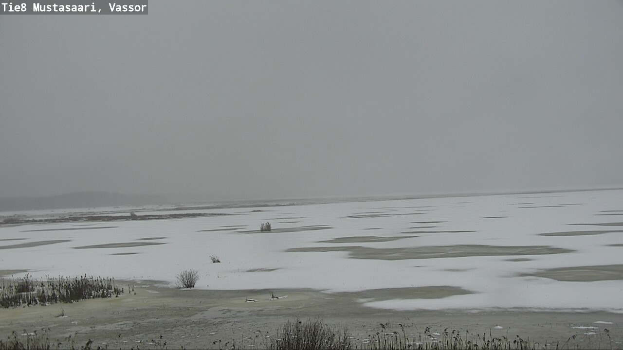 Weather Camera Image Road 8 Mustasaari, Vassor, Mustasaari, Pohjanmaa