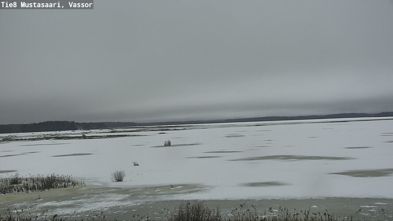 Weather Camera Image Road 8 Mustasaari, Vassor, Mustasaari, Pohjanmaa