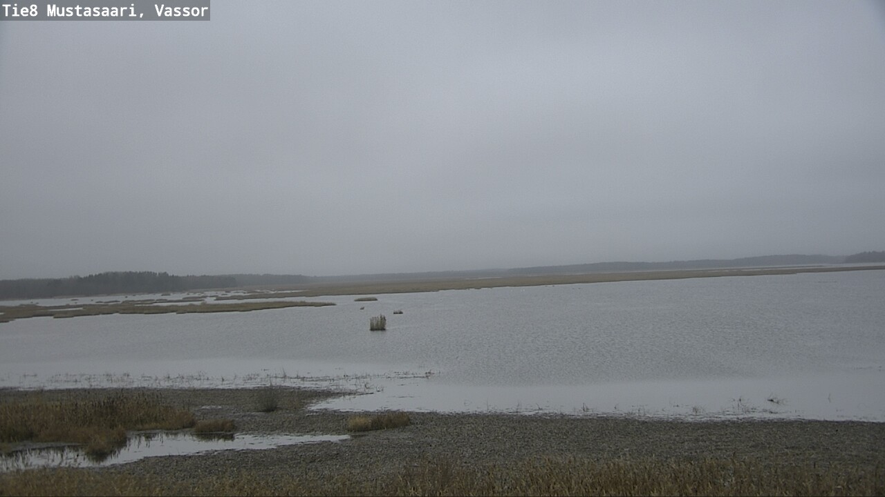 Kelikamerat Kuva Tie 8 Mustasaari, Vassor, Mustasaari, Pohjanmaa