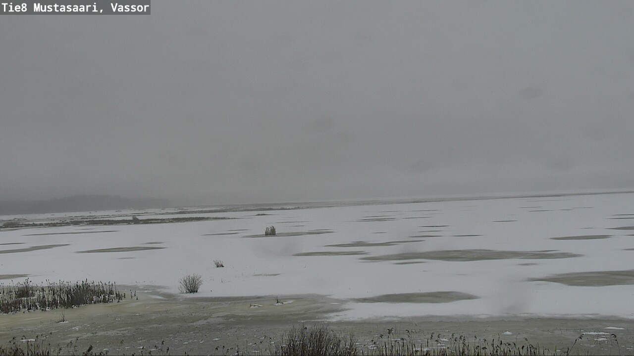 Weather Camera Image Road 8 Mustasaari, Vassor, Mustasaari, Pohjanmaa