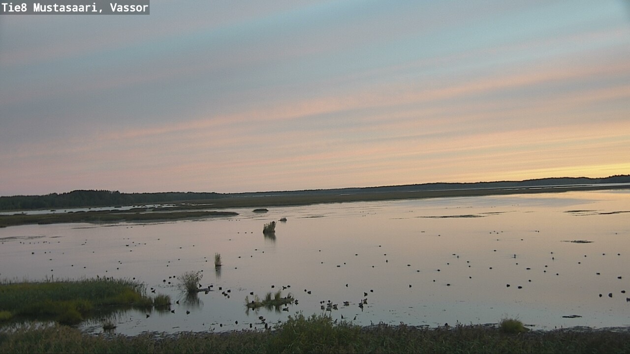 Weather Camera Image Road 8 Mustasaari, Vassor, Mustasaari, Pohjanmaa