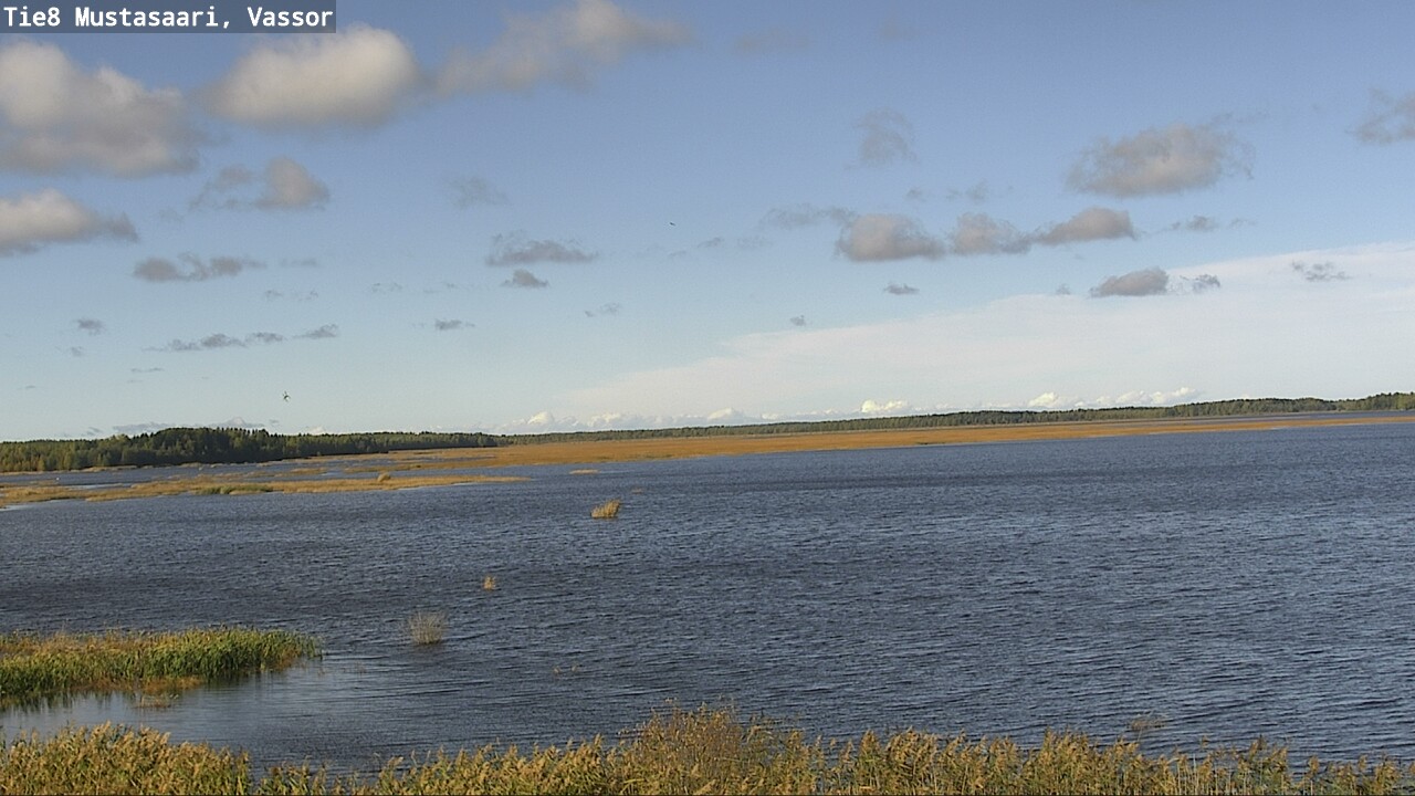 Weather Camera Image Väg 8 Korsholm, Vassor, Mustasaari, Pohjanmaa