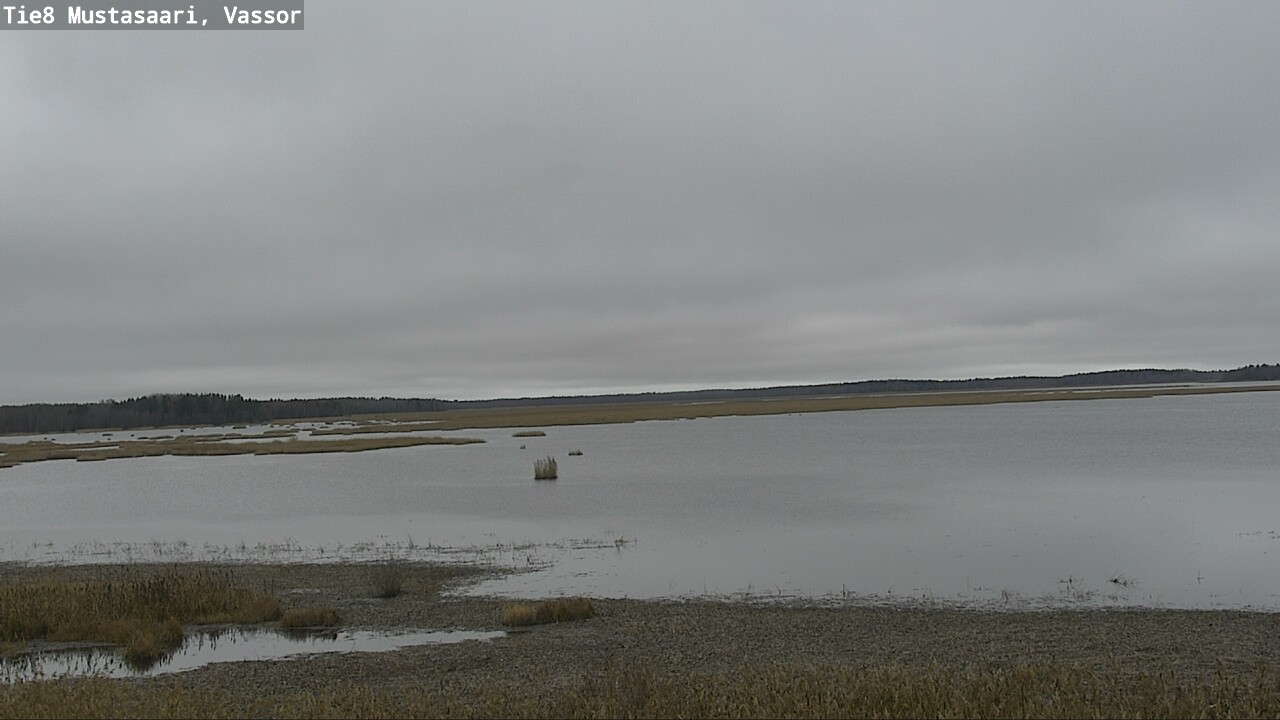 Kelikamerat Kuva Tie 8 Mustasaari, Vassor, Mustasaari, Pohjanmaa