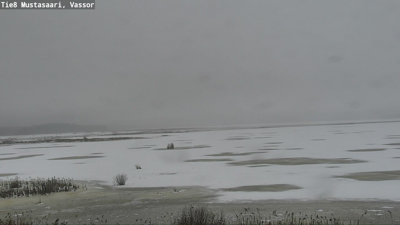 Weather Camera Image Road 8 Mustasaari, Vassor, Mustasaari, Pohjanmaa