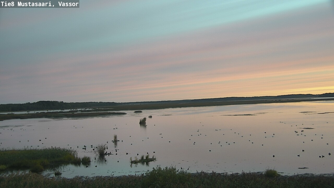 Weather Camera Image Road 8 Mustasaari, Vassor, Mustasaari, Pohjanmaa