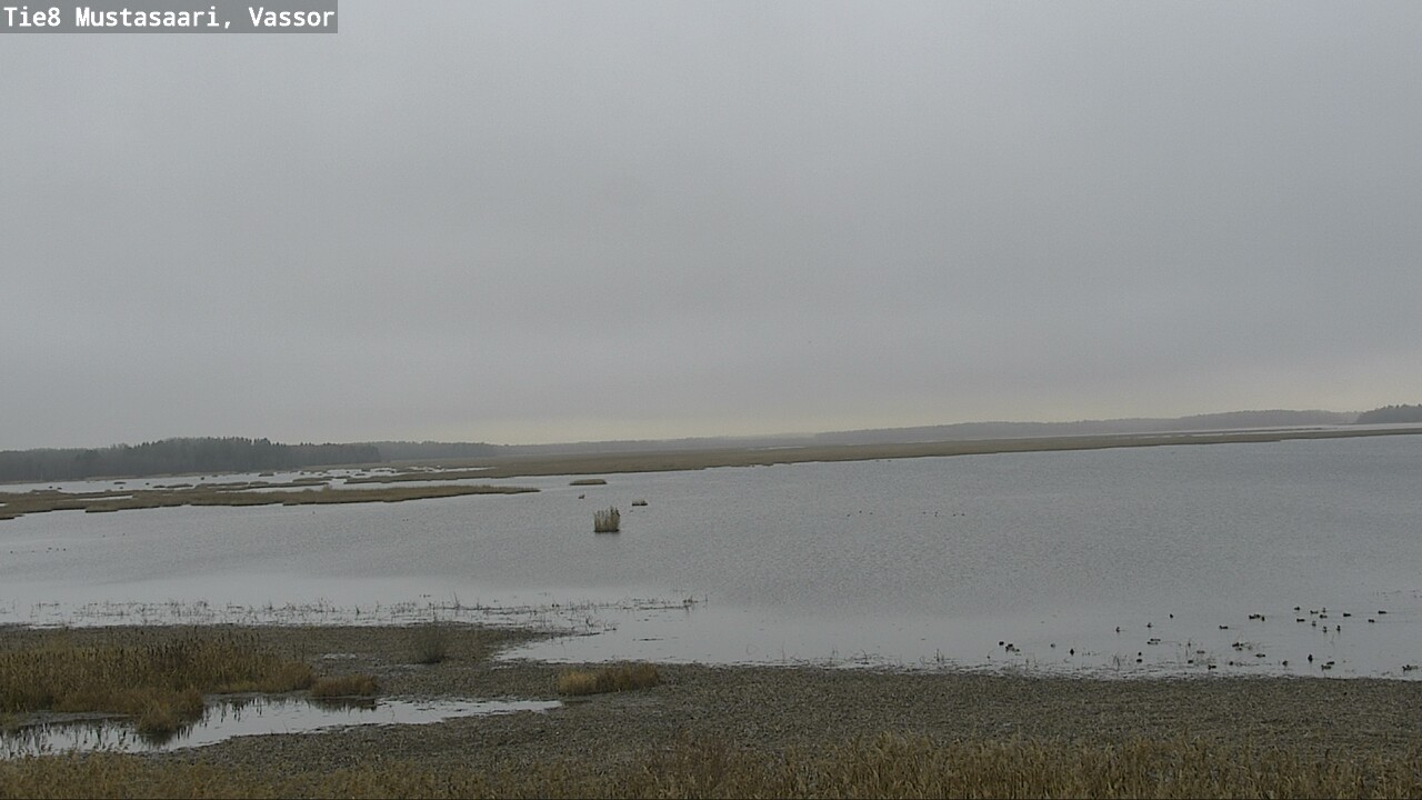 Kelikamerat Kuva Tie 8 Mustasaari, Vassor, Mustasaari, Pohjanmaa