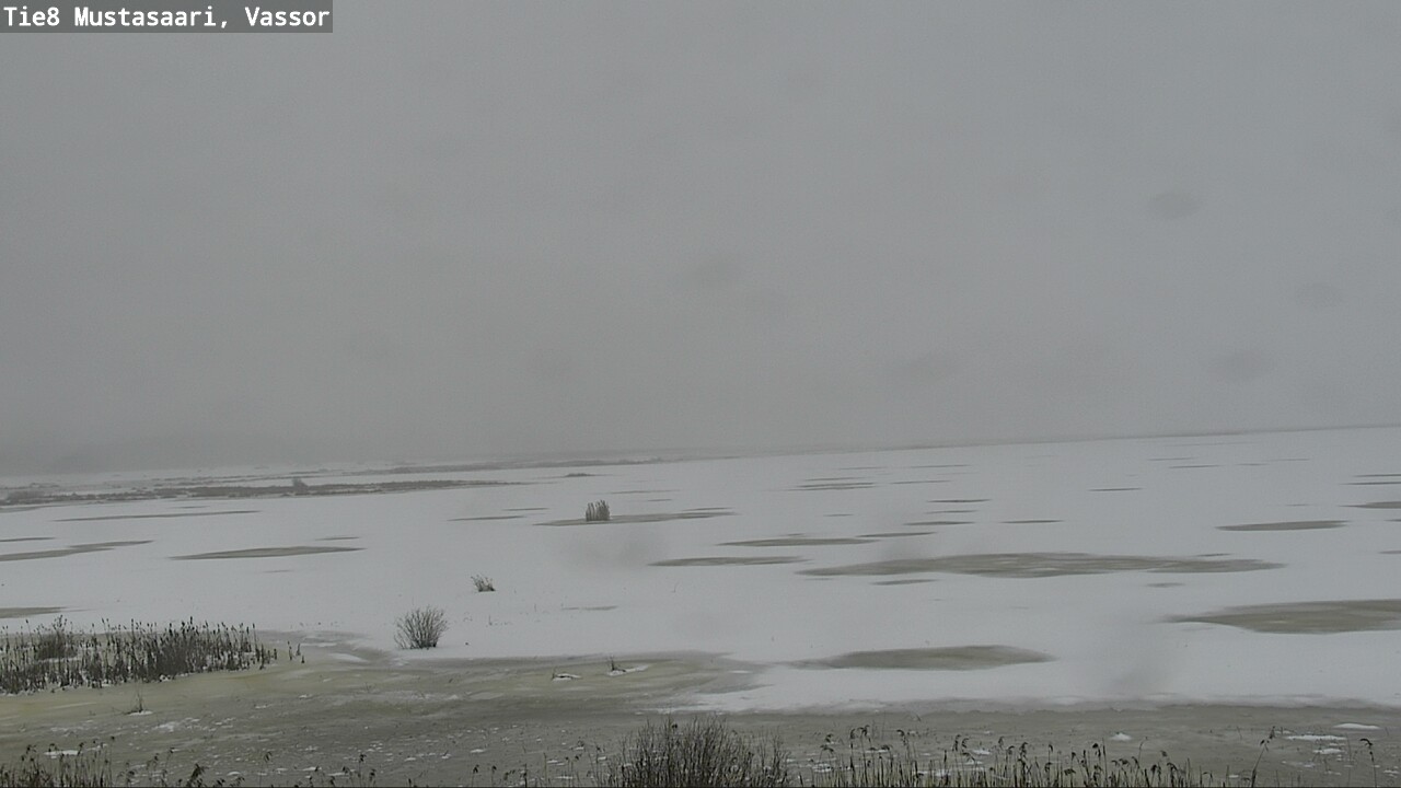 Weather Camera Image Road 8 Mustasaari, Vassor, Mustasaari, Pohjanmaa