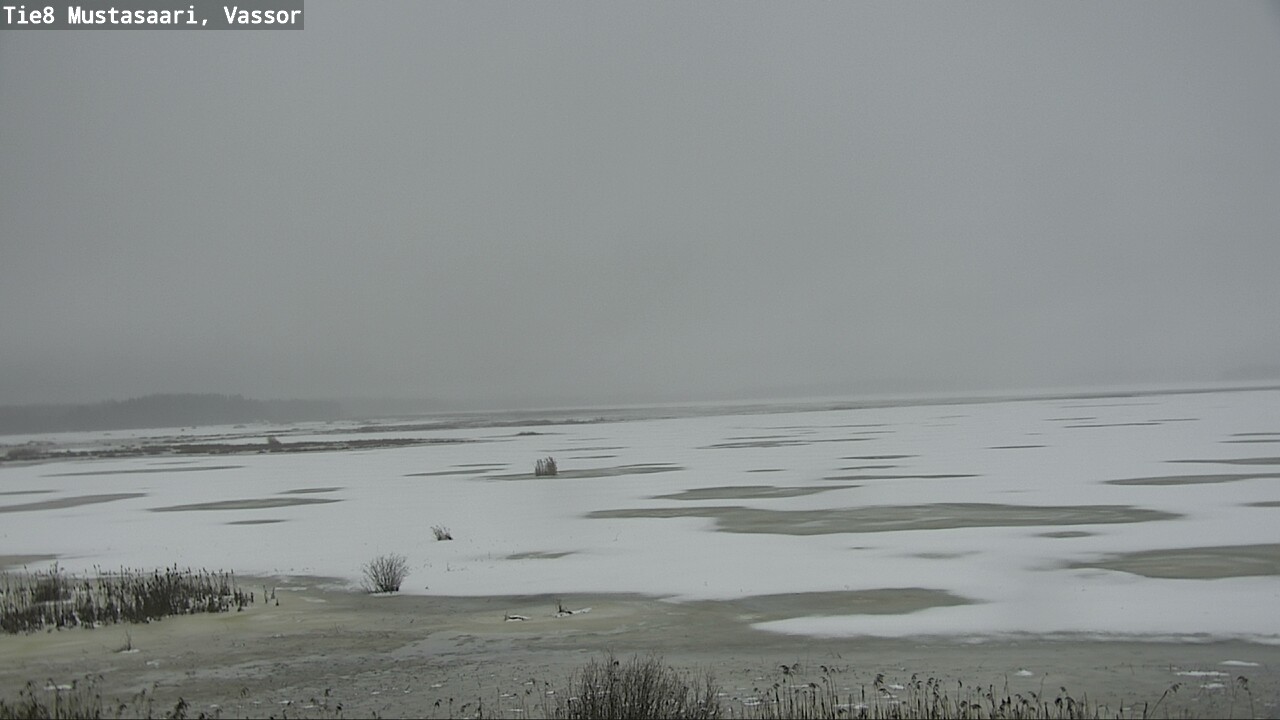 Weather Camera Image Road 8 Mustasaari, Vassor, Mustasaari, Pohjanmaa