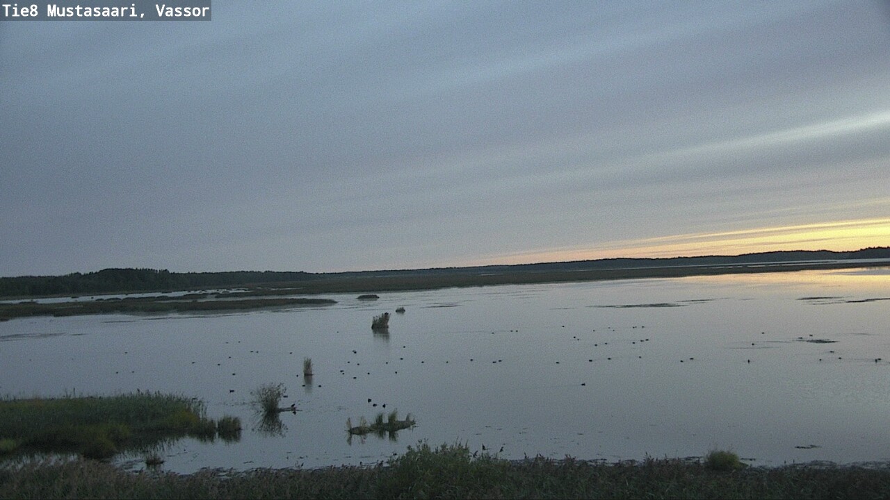 Weather Camera Image Road 8 Mustasaari, Vassor, Mustasaari, Pohjanmaa