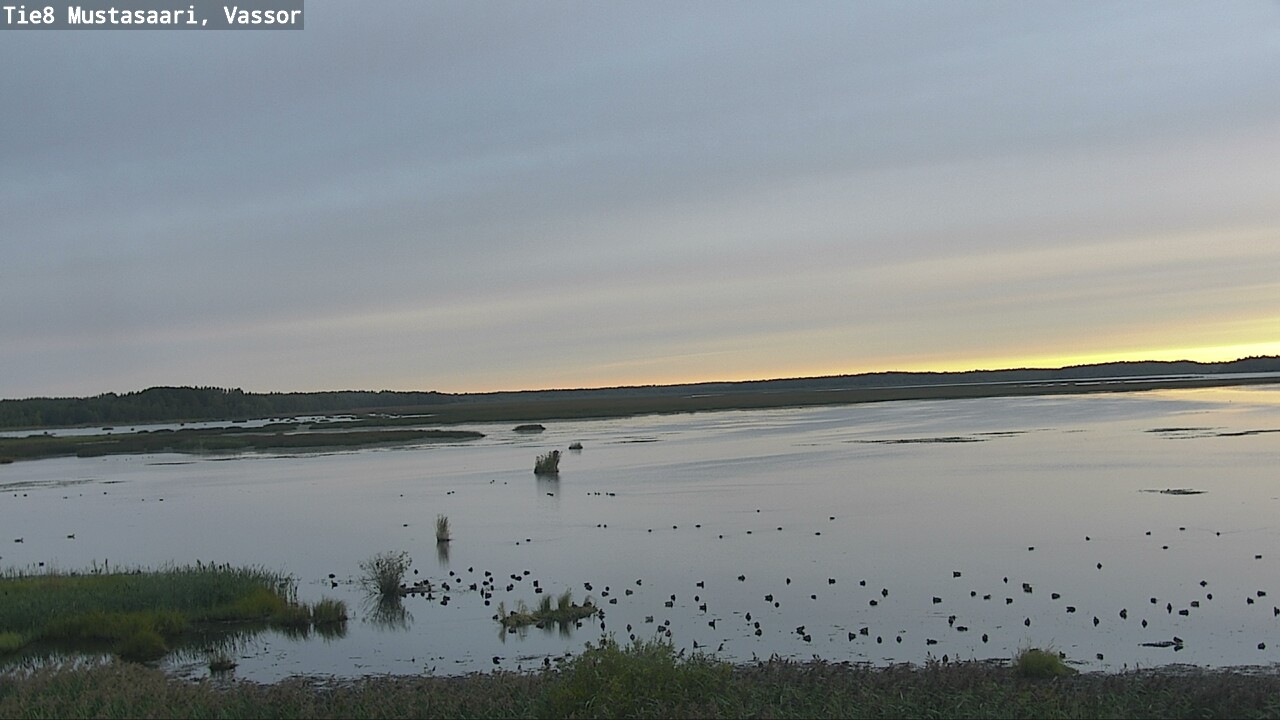 Weather Camera Image Road 8 Mustasaari, Vassor, Mustasaari, Pohjanmaa