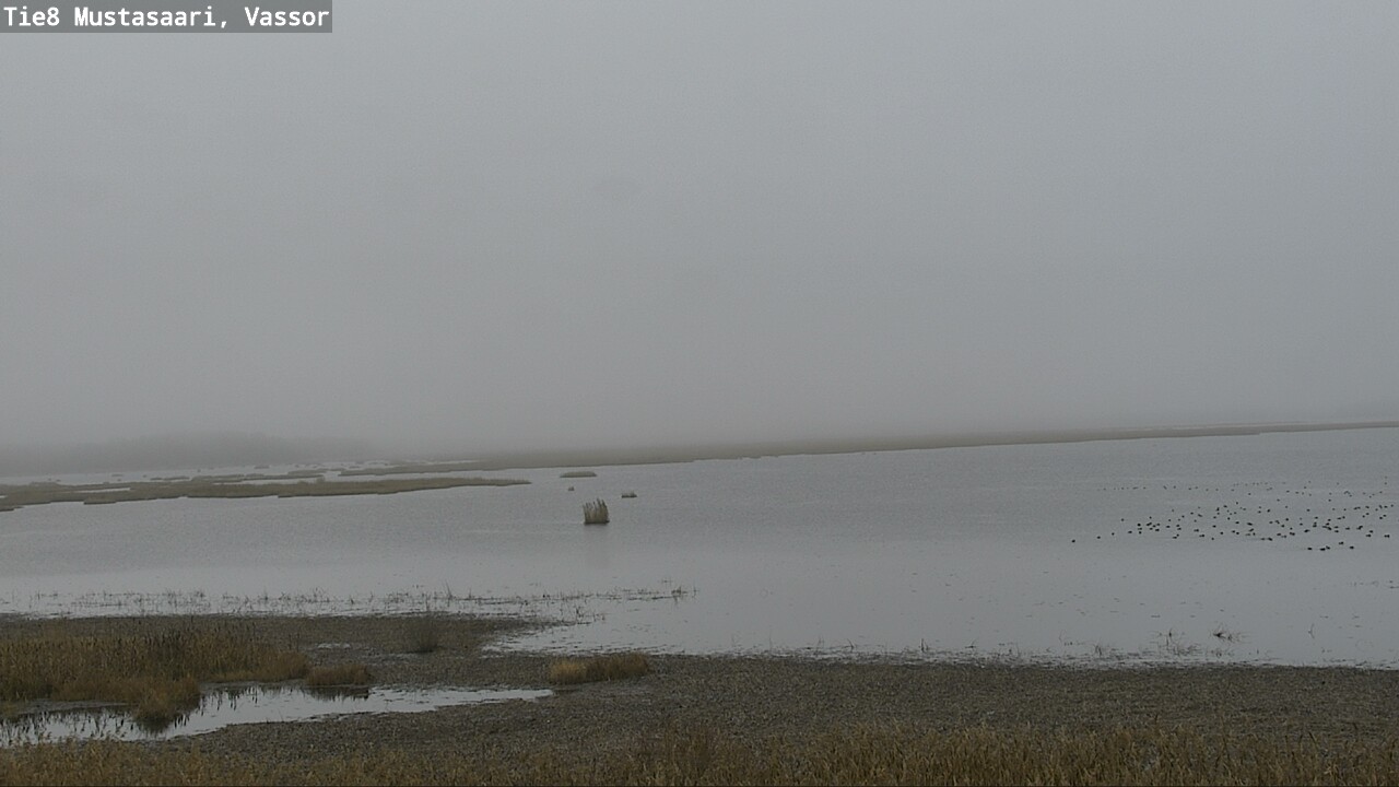 Kelikamerat Kuva Tie 8 Mustasaari, Vassor, Mustasaari, Pohjanmaa