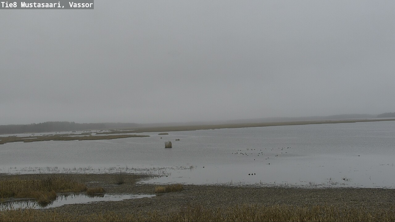 Kelikamerat Kuva Tie 8 Mustasaari, Vassor, Mustasaari, Pohjanmaa