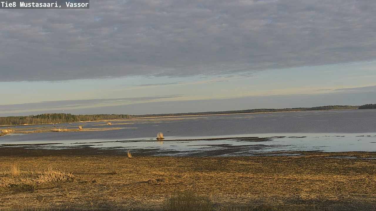 Weather Camera Image Road 8 Mustasaari, Vassor, Mustasaari, Pohjanmaa