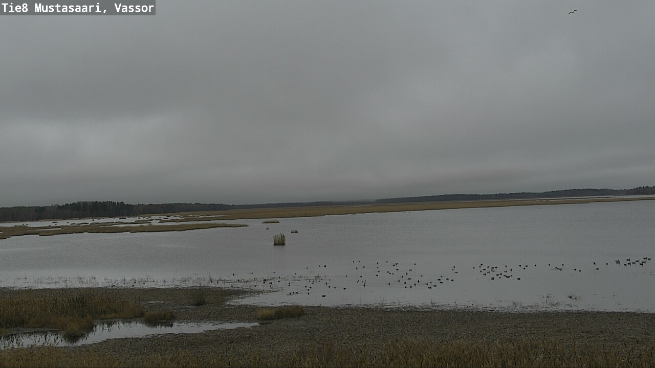 Kelikamerat Kuva Tie 8 Mustasaari, Vassor, Mustasaari, Pohjanmaa