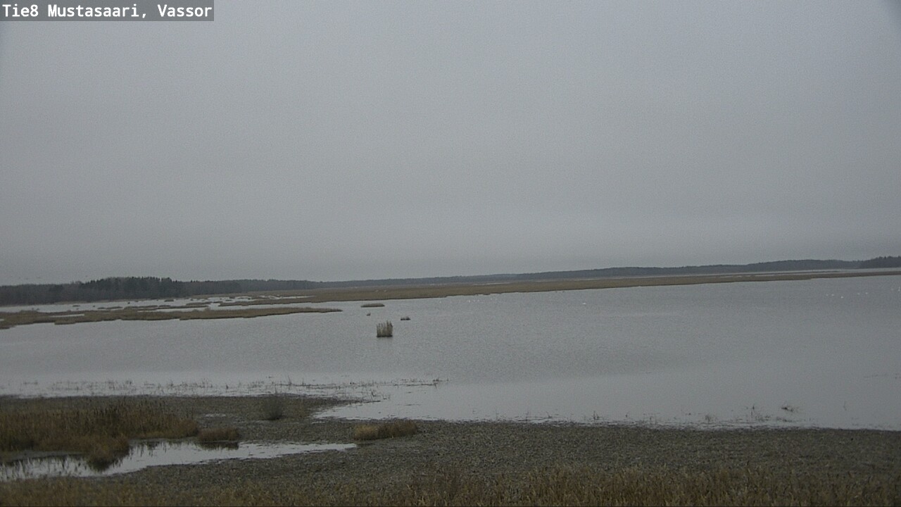 Kelikamerat Kuva Tie 8 Mustasaari, Vassor, Mustasaari, Pohjanmaa