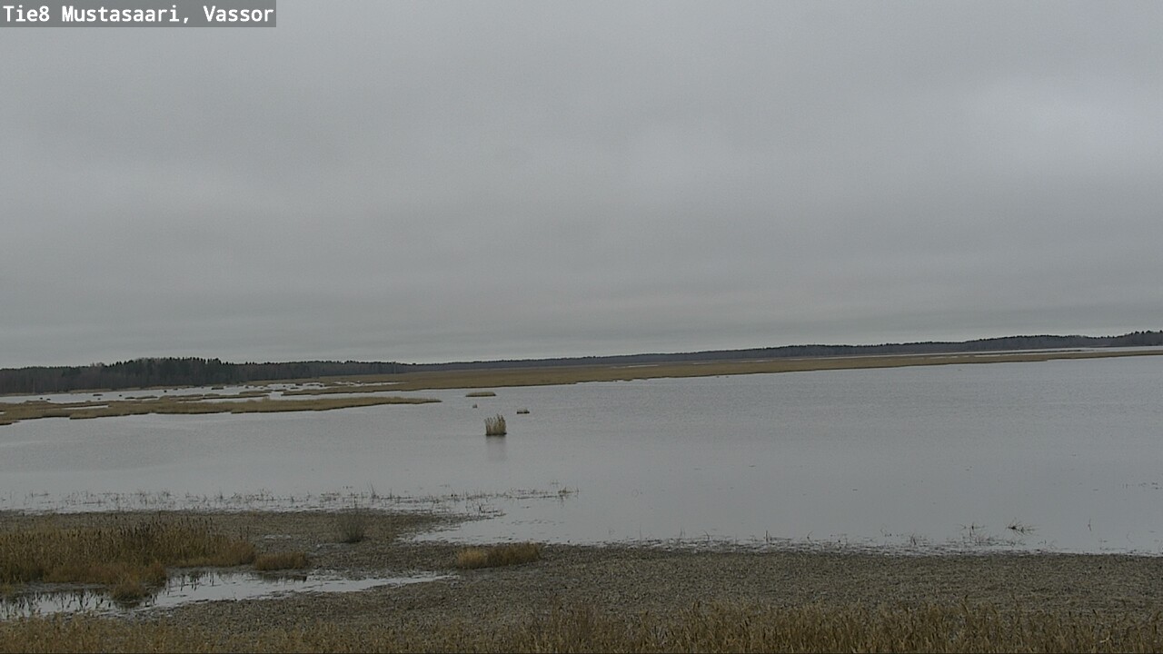 Kelikamerat Kuva Tie 8 Mustasaari, Vassor, Mustasaari, Pohjanmaa