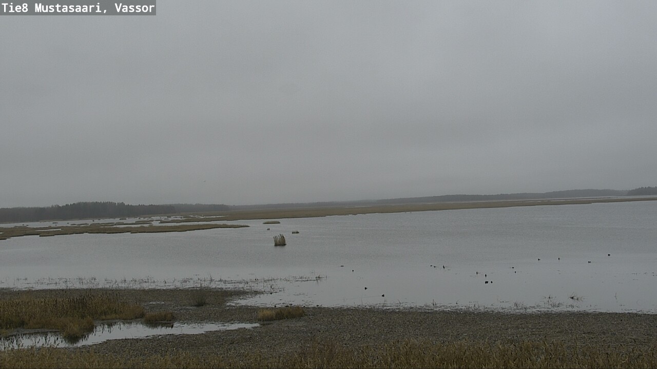 Kelikamerat Kuva Tie 8 Mustasaari, Vassor, Mustasaari, Pohjanmaa