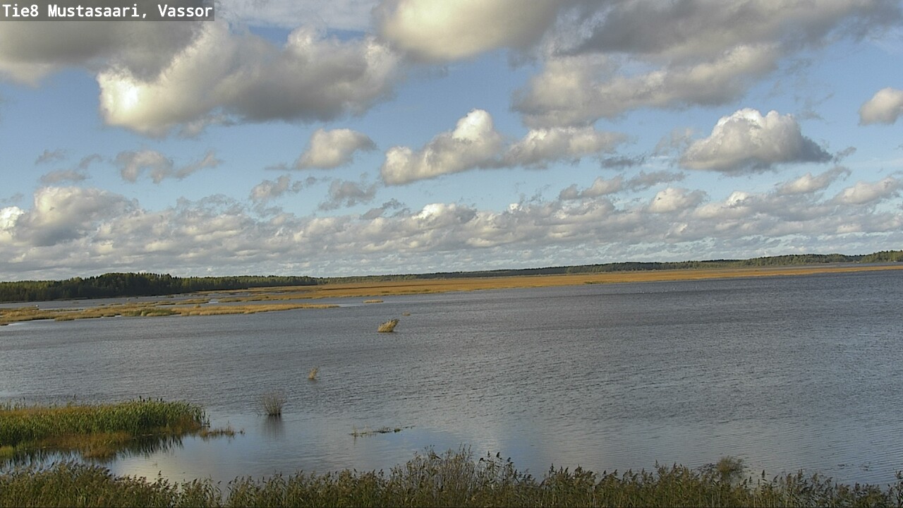 Kelikamerat Kuva Tie 8 Mustasaari, Vassor, Mustasaari, Pohjanmaa