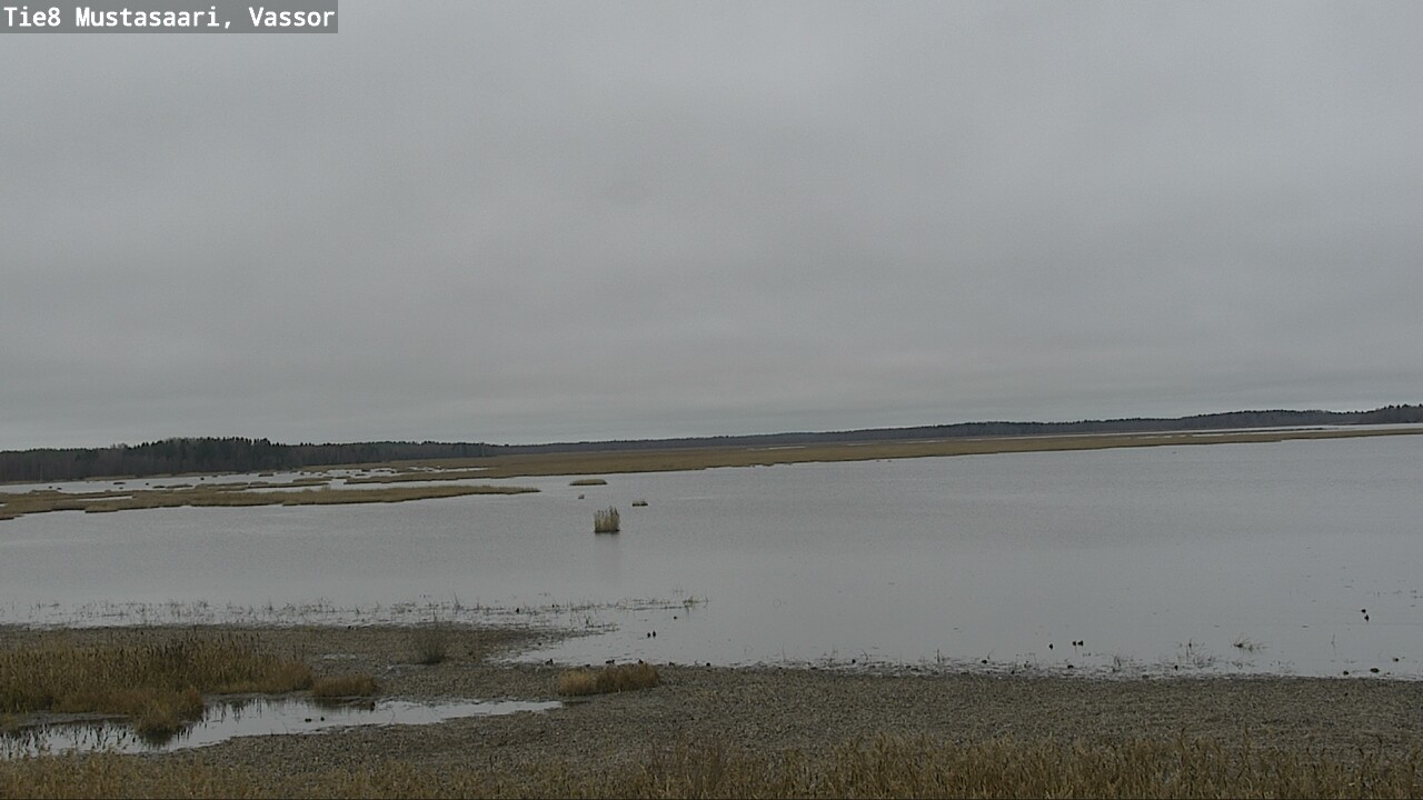 Kelikamerat Kuva Tie 8 Mustasaari, Vassor, Mustasaari, Pohjanmaa