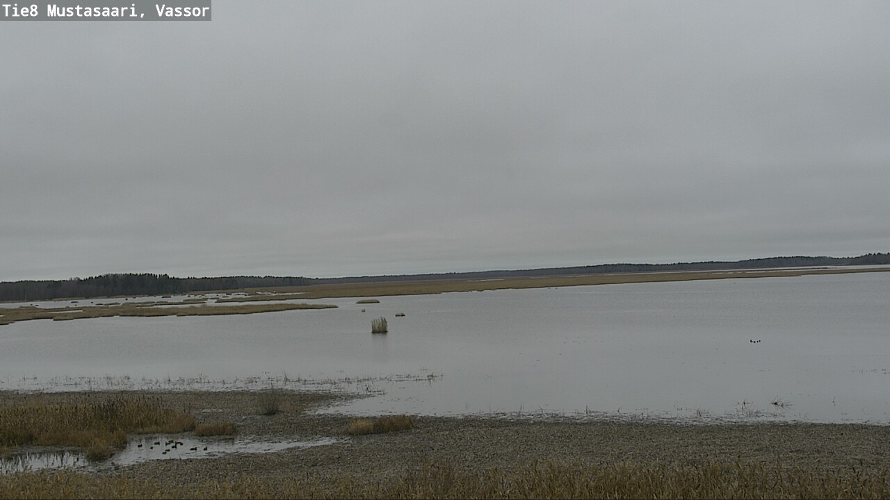 Kelikamerat Kuva Tie 8 Mustasaari, Vassor, Mustasaari, Pohjanmaa