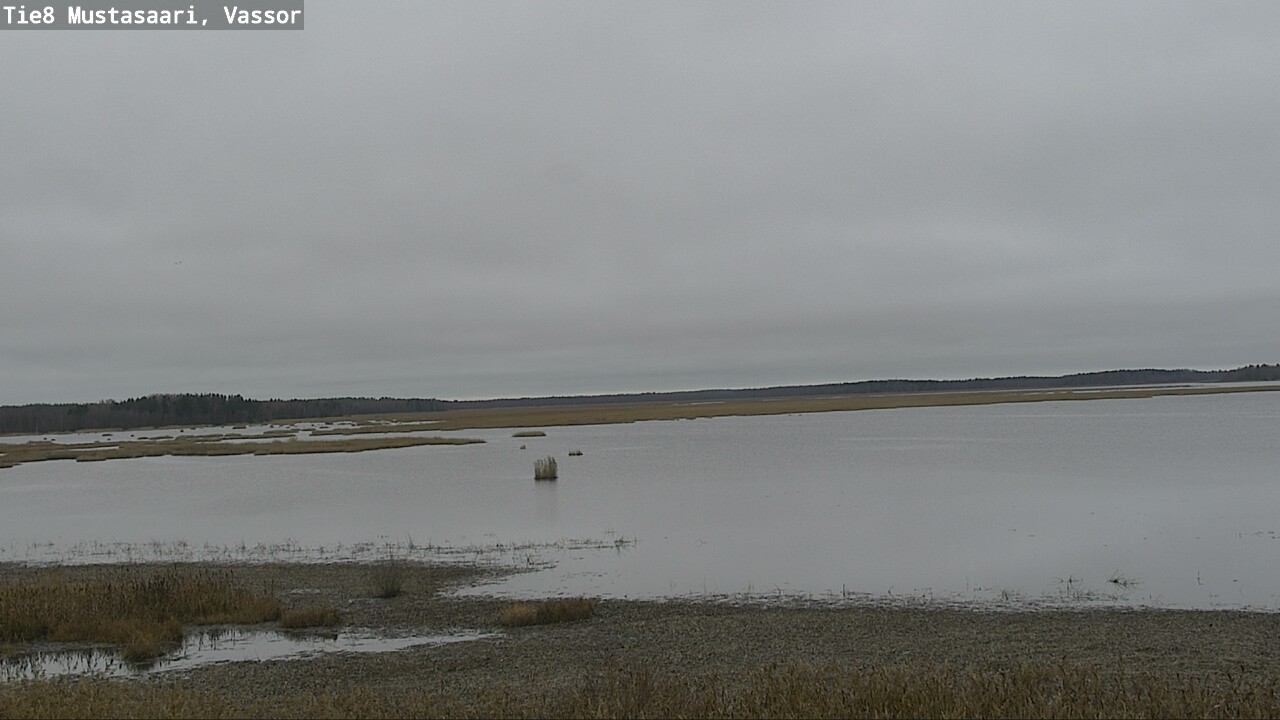 Kelikamerat Kuva Tie 8 Mustasaari, Vassor, Mustasaari, Pohjanmaa
