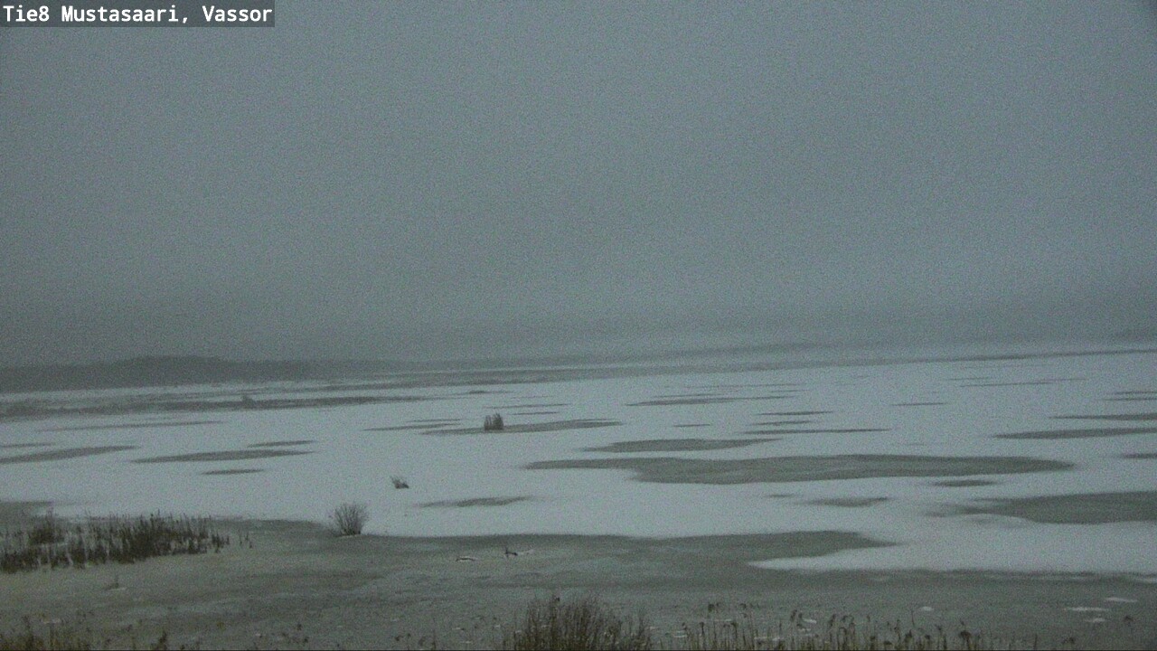 Weather Camera Image Road 8 Mustasaari, Vassor, Mustasaari, Pohjanmaa