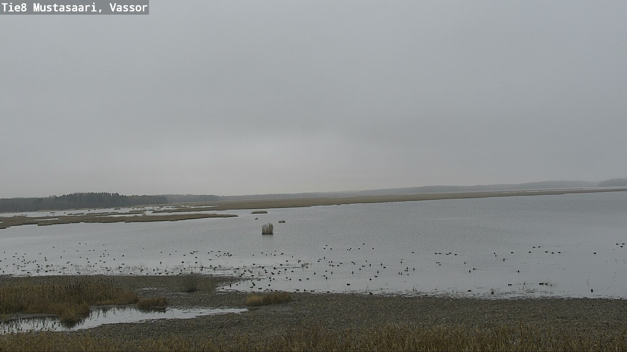 Kelikamerat Kuva Tie 8 Mustasaari, Vassor, Mustasaari, Pohjanmaa