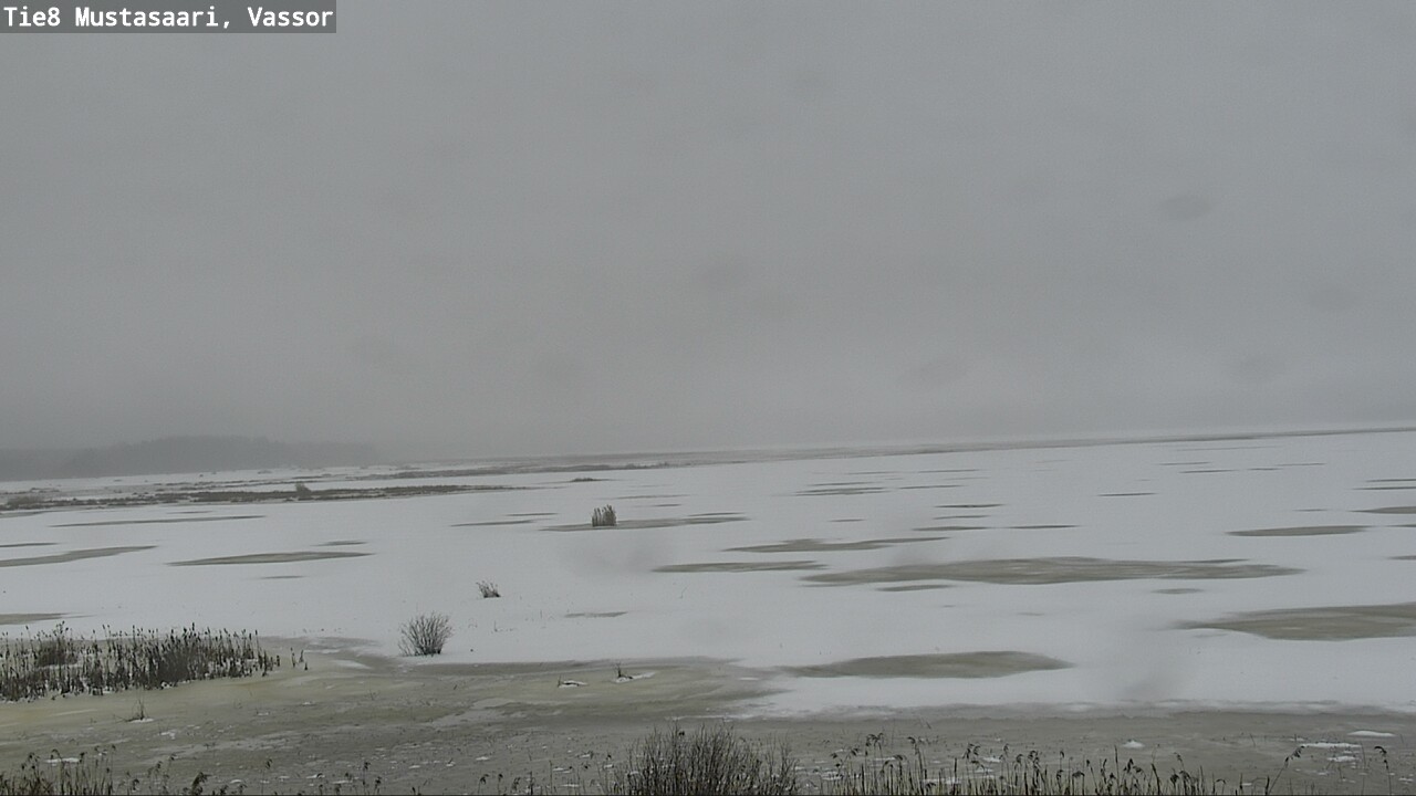Weather Camera Image Road 8 Mustasaari, Vassor, Mustasaari, Pohjanmaa